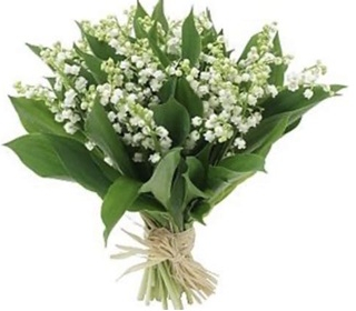 Muguet