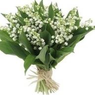 27 avril 2025 : Vente de muguet au profit du fleurissement de notre église 